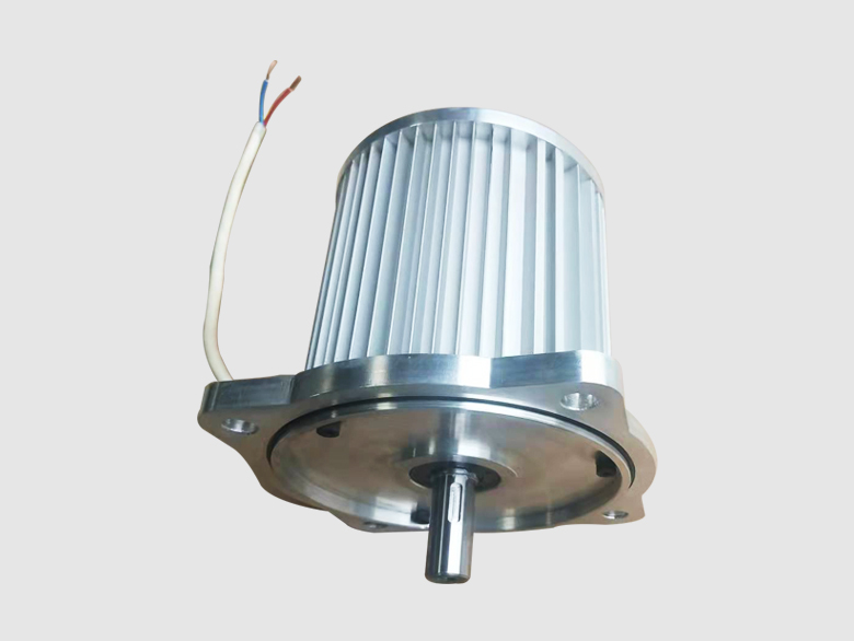 低压小功率无刷直流电机